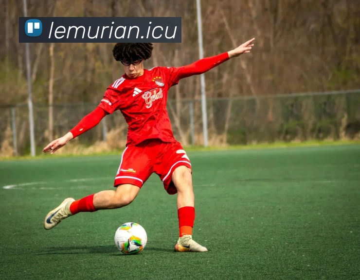 App Interface Preview